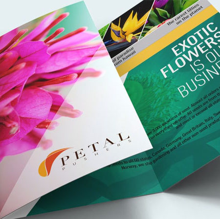 8.5" X 11" Brochure - 1K